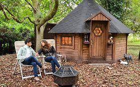 Starry Meadow & Rescued Animal Experiences